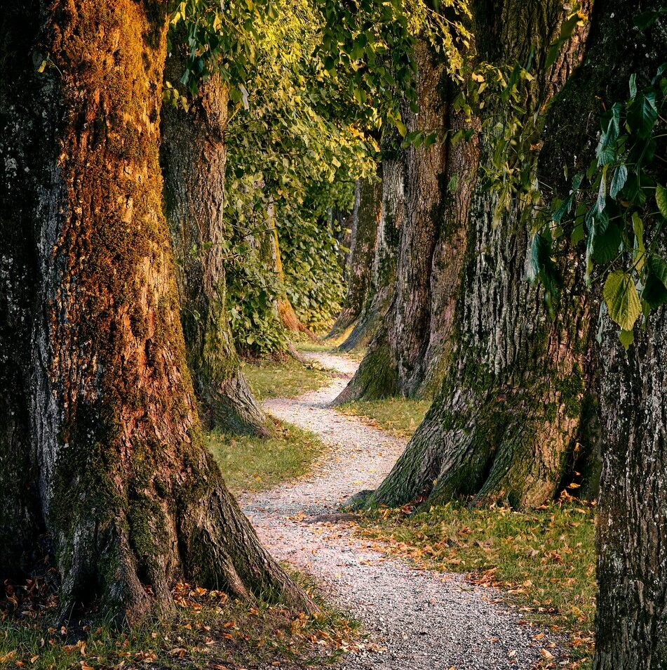 mario-dobelmann-gw-aplKL3Qg-unsplash (1)